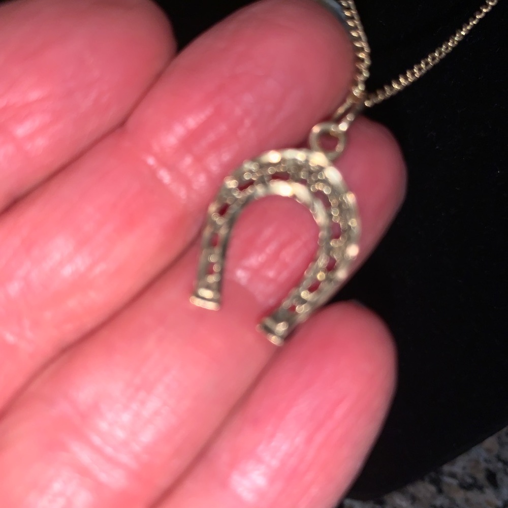 14k Lucky Horseshoe Pendant & Chain Gem